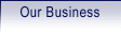 Our Business